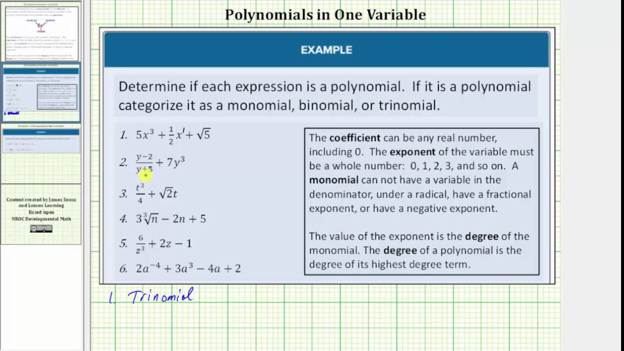 Determine if an Expression is a Polynomial