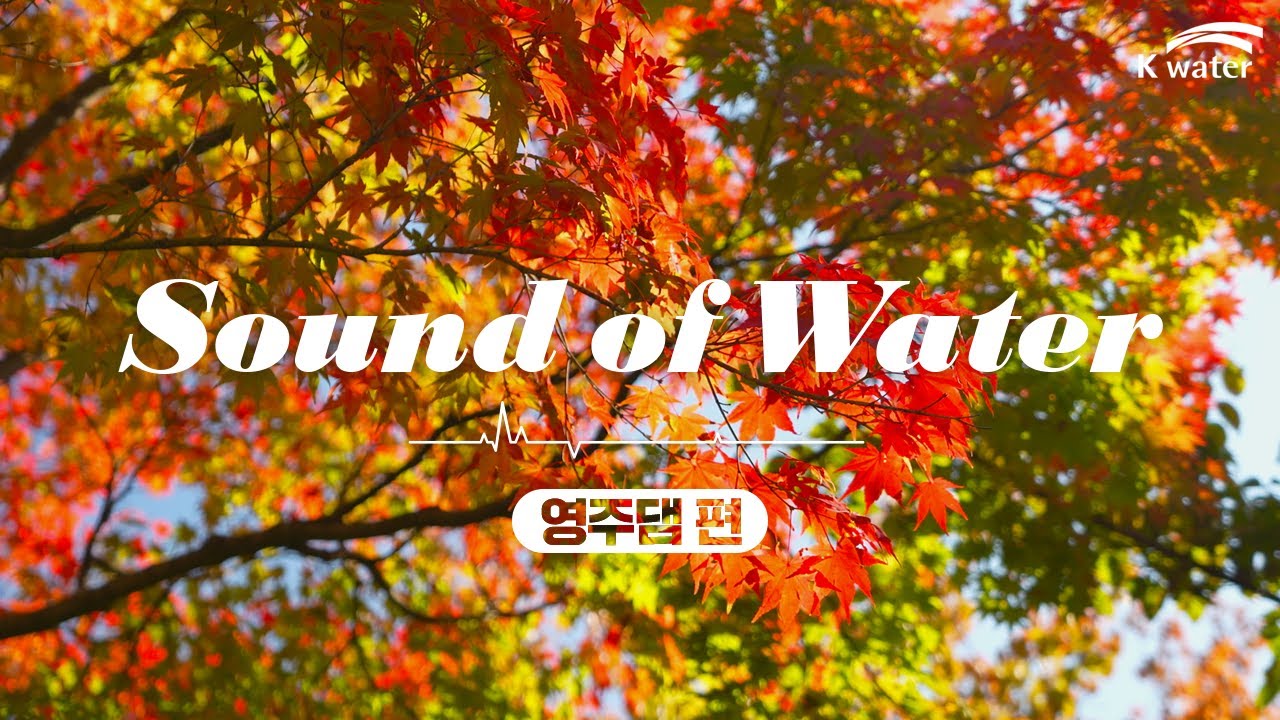 [영주댐] 영주에 가을이 오면🍁 | Autumn in Yeongju | 영주 Timelapes | [사운드 오브 워터🎧]