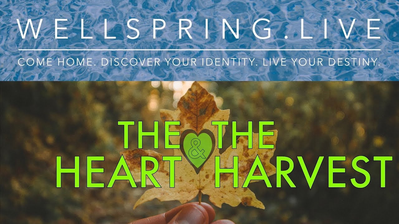 The Heart & the Harvest
