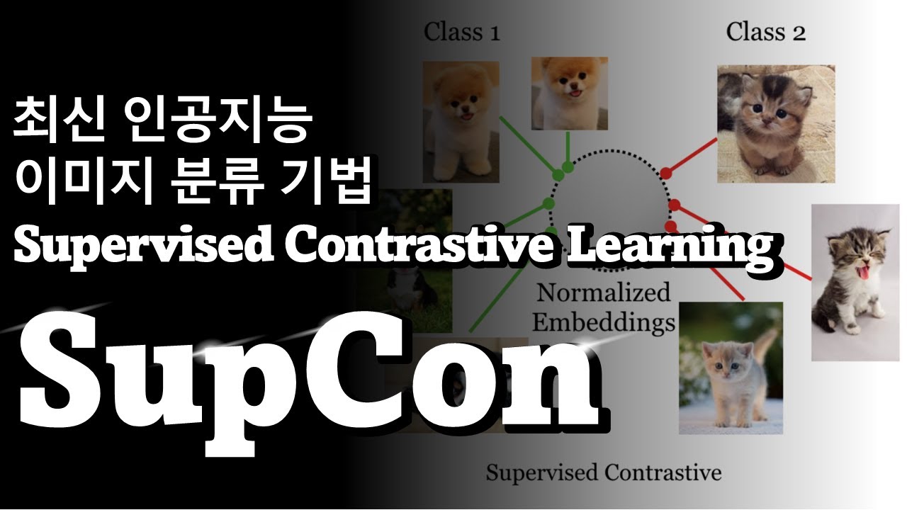 [논문리뷰 및 코드실습] Supervised Contrastive Learning