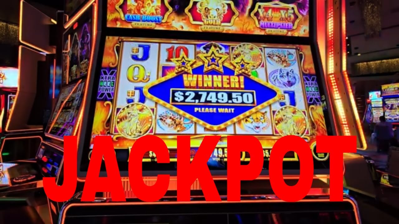 JACKPOT ON BUFFALO GOLD CASH COLLECTION #CASINO #SLOT #GAMBLING #JACKPOT #SUBSCRIBE