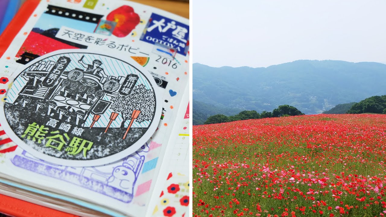 Chichibu's Poppy Flowers (秩父のポピー) + ✏️ #HOBONICHI With Me!