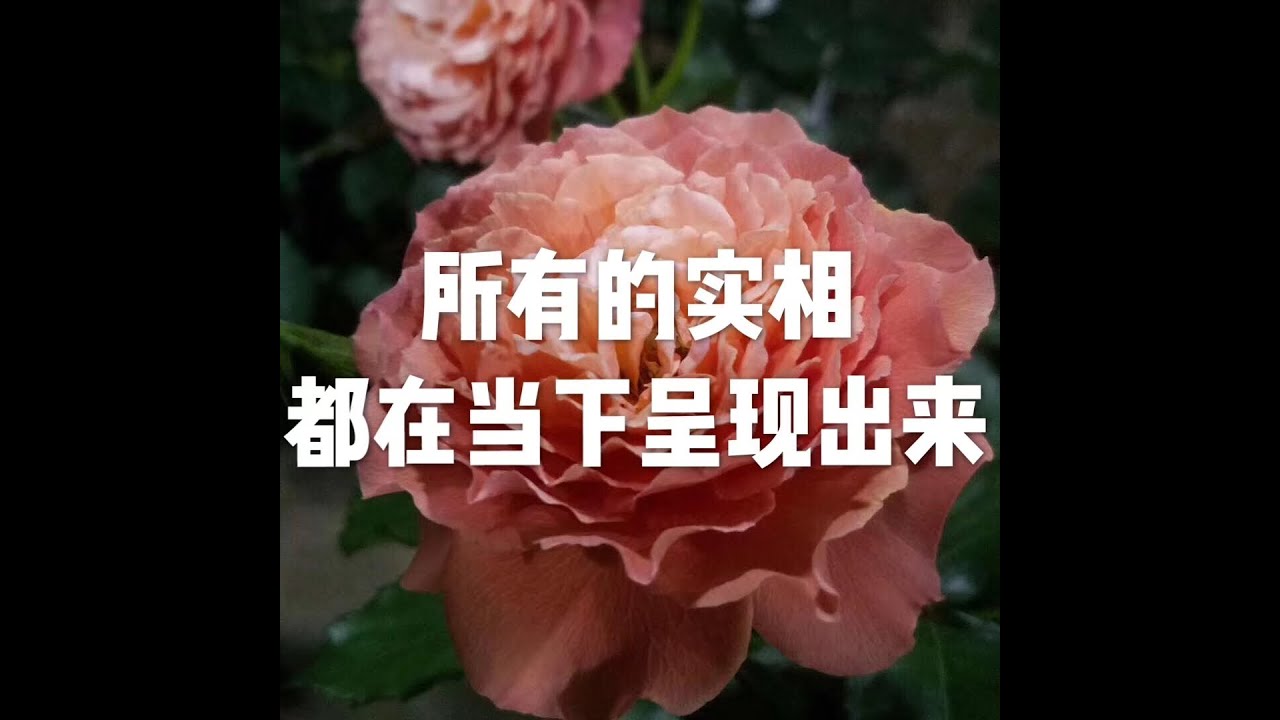 201302 所有的实相都在当下呈现出来10300