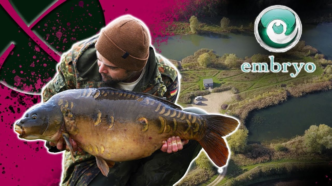 Embryo Angling Autumn Success- North Bank- James Armstrong