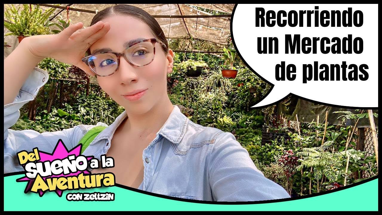 🌱 CONOCE EL MERCADO DE PLANTAS MÁS GRANDE EN XOCHIMILCO, CDMX