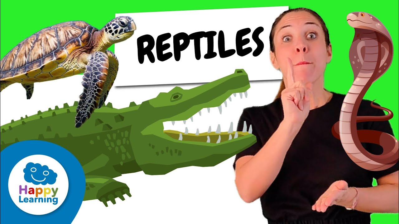 🐊 LOS REPTILES en Lengua de Signos | Vídeos Educativos para Niños de PRIMARIA | @HappyLearningES