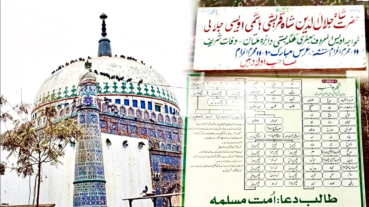 حضورصَلَّى اللّٰهُ عَلَيْهِ وَسَلَّم کے چاچا کے بیٹے حضرت جعفر طیار کی لڑی سے ہیں