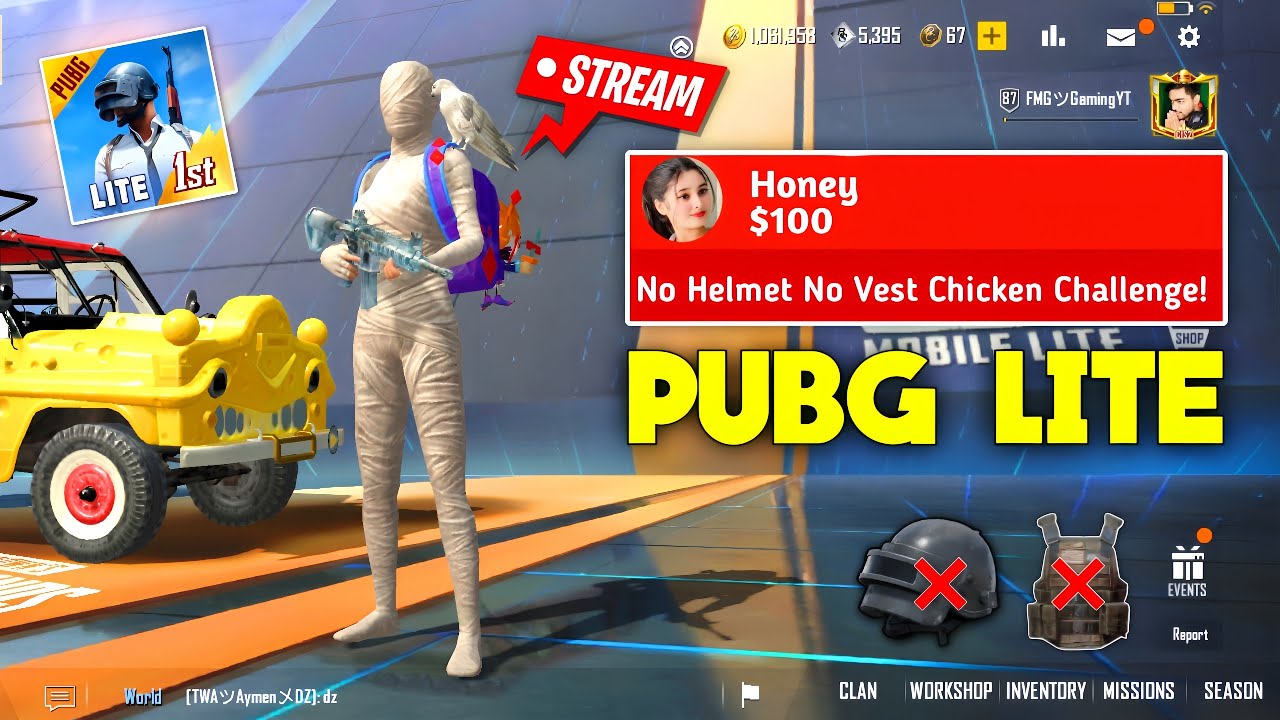 $500 PUBG Lite Hacker Lobby Challenge 😱 | No Helmet & Vest Chicken Dinner🔥