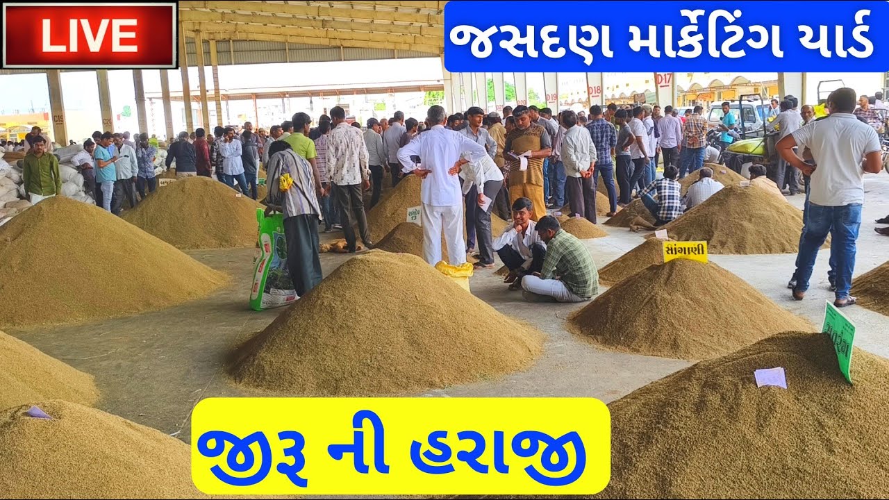 🔴live જીરૂ ના ભાવ આજના | જસદણ માર્કેટિંગ યાર્ડ | jeera auction price today,October 6, 2025