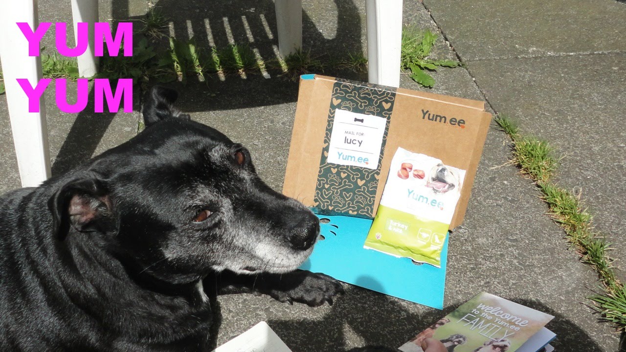 yum.ee dog box subscription code