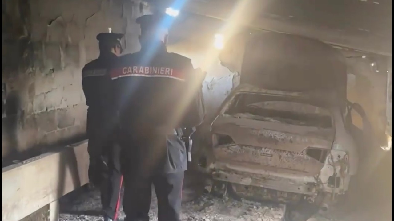 Suv rubati e smembrati in campagna: operazione dei carabinieri a cavallo nel Parco dell'Alta Murgia