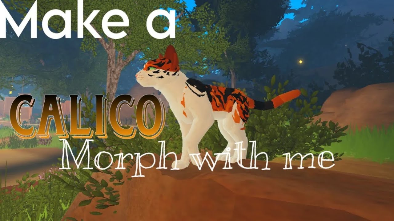 make a GAMEPASS FREE Calico morph with me!