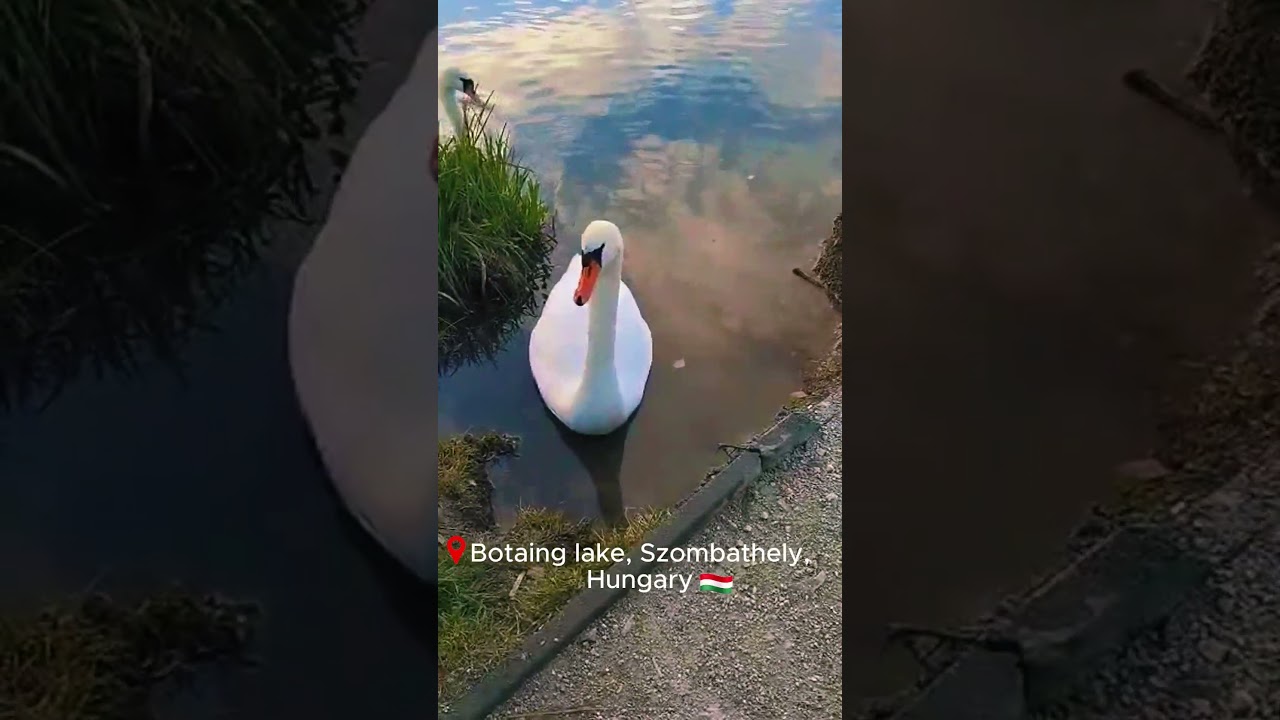 Beautiful golden hour lake