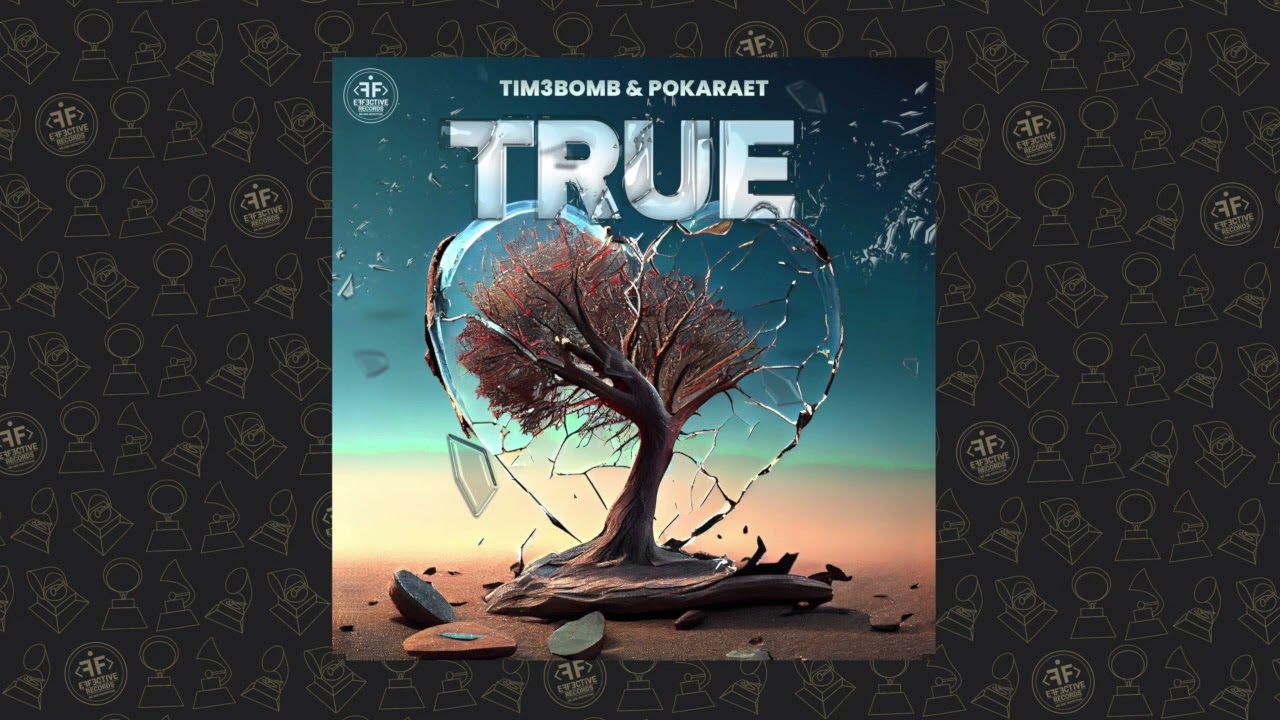 Tim3bomb, Pokaraet - True