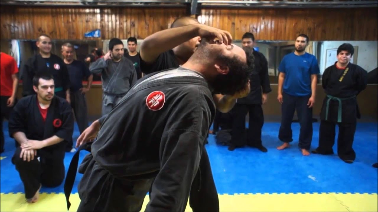 AULA #1 SHIHAN JORGE FRIAS BUJINKAN ANTOFAGASTA 2013/2014