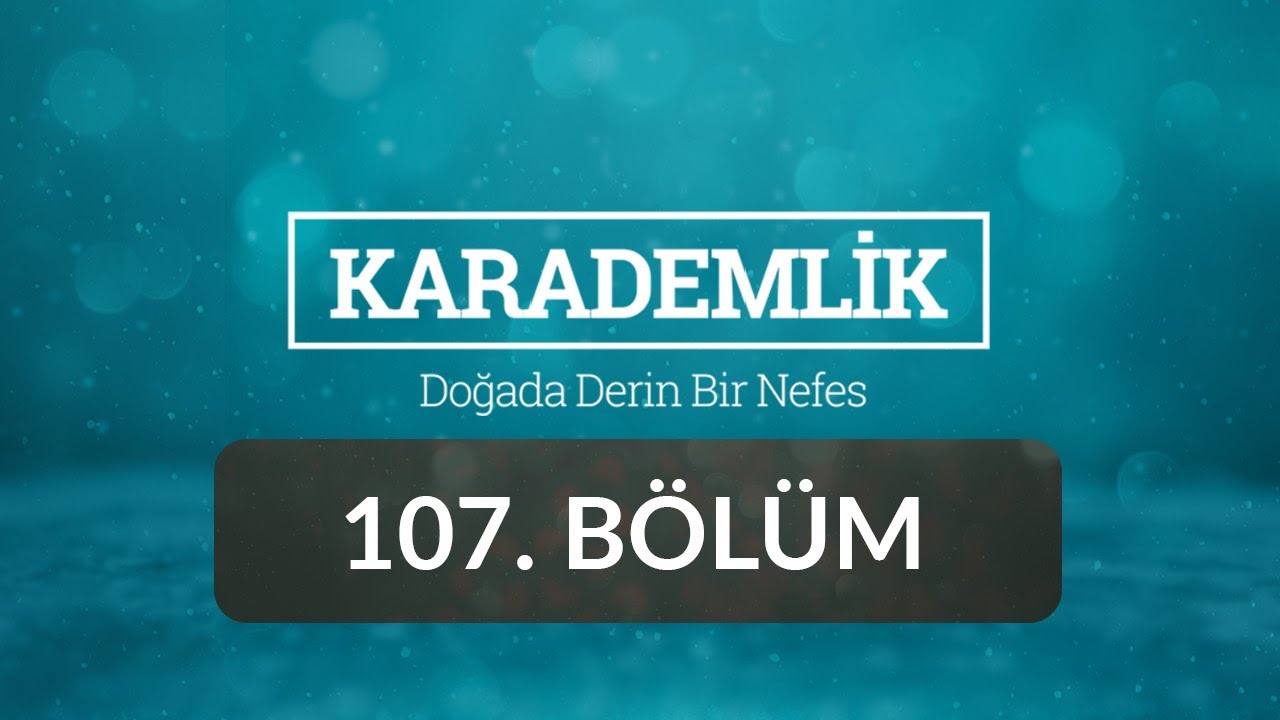 Artvin - Karademlik 107.Bölüm