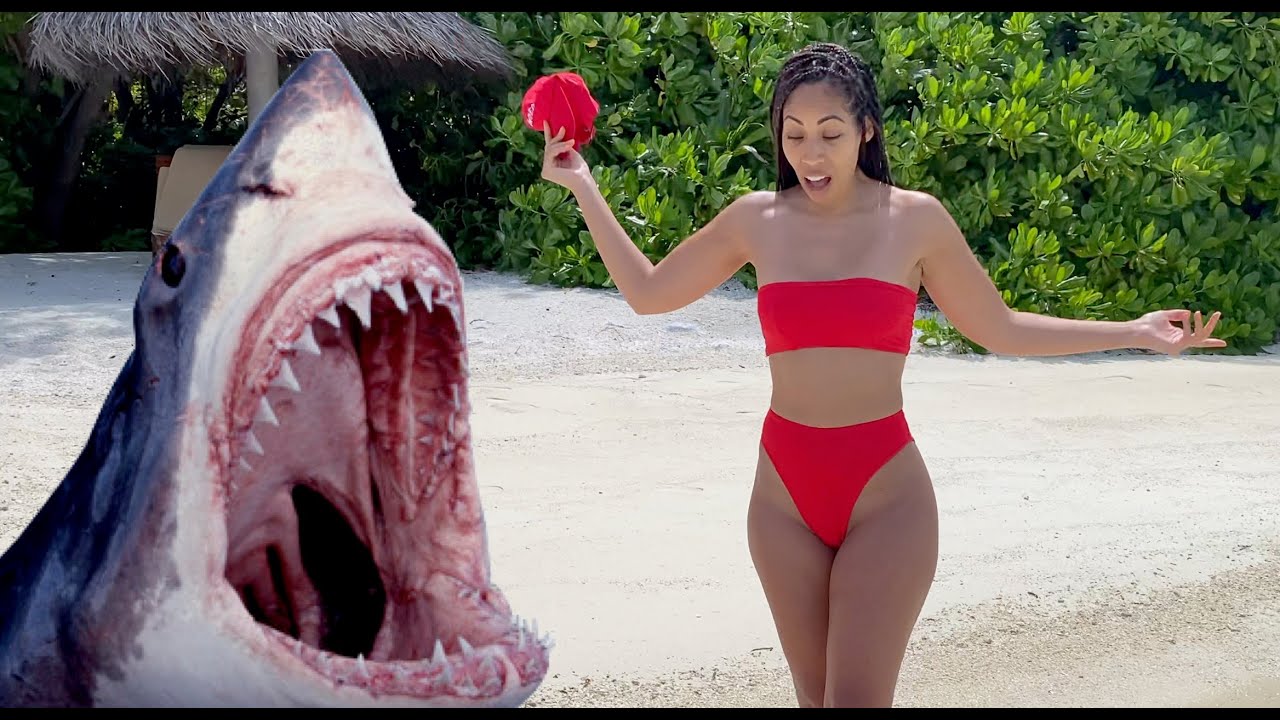 Shark Hunting - Honeymoon Part 3