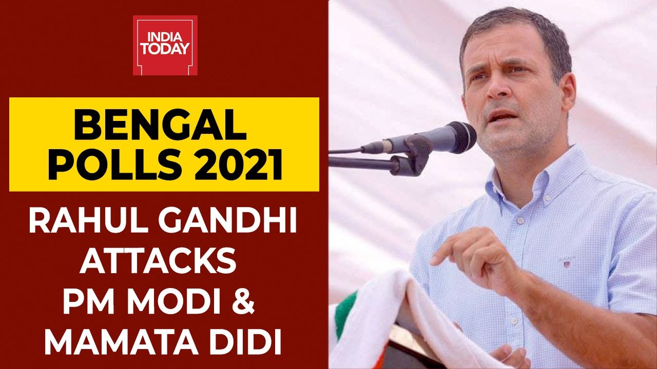 Bengal Polls 2021: Rahul Gandhi Hits Out At PM Modi & Mamata Banerjee Over Many Issues In Darjeeling