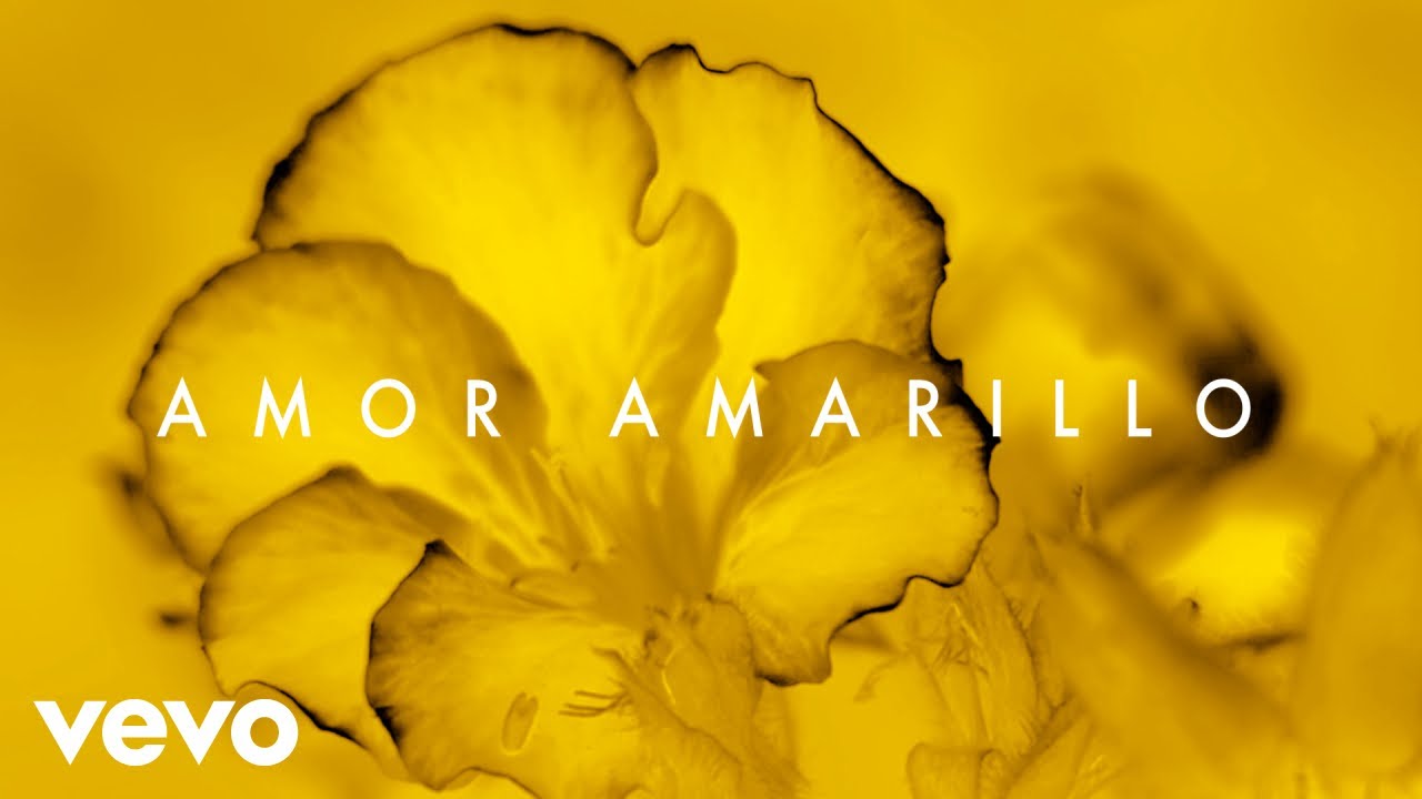 Gustavo Cerati - Amor Amarillo (Official Visualizer)