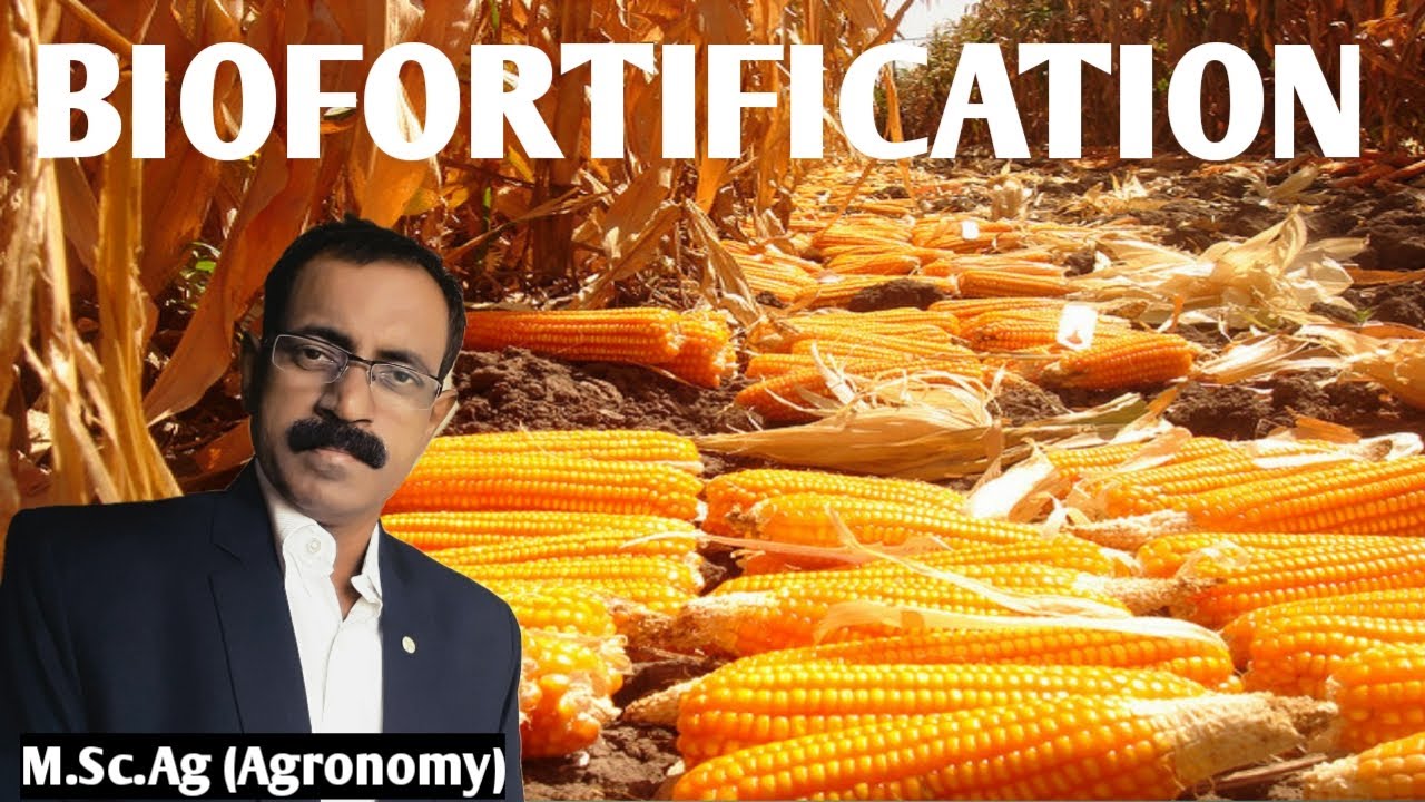 BIOFORTIFICATION
