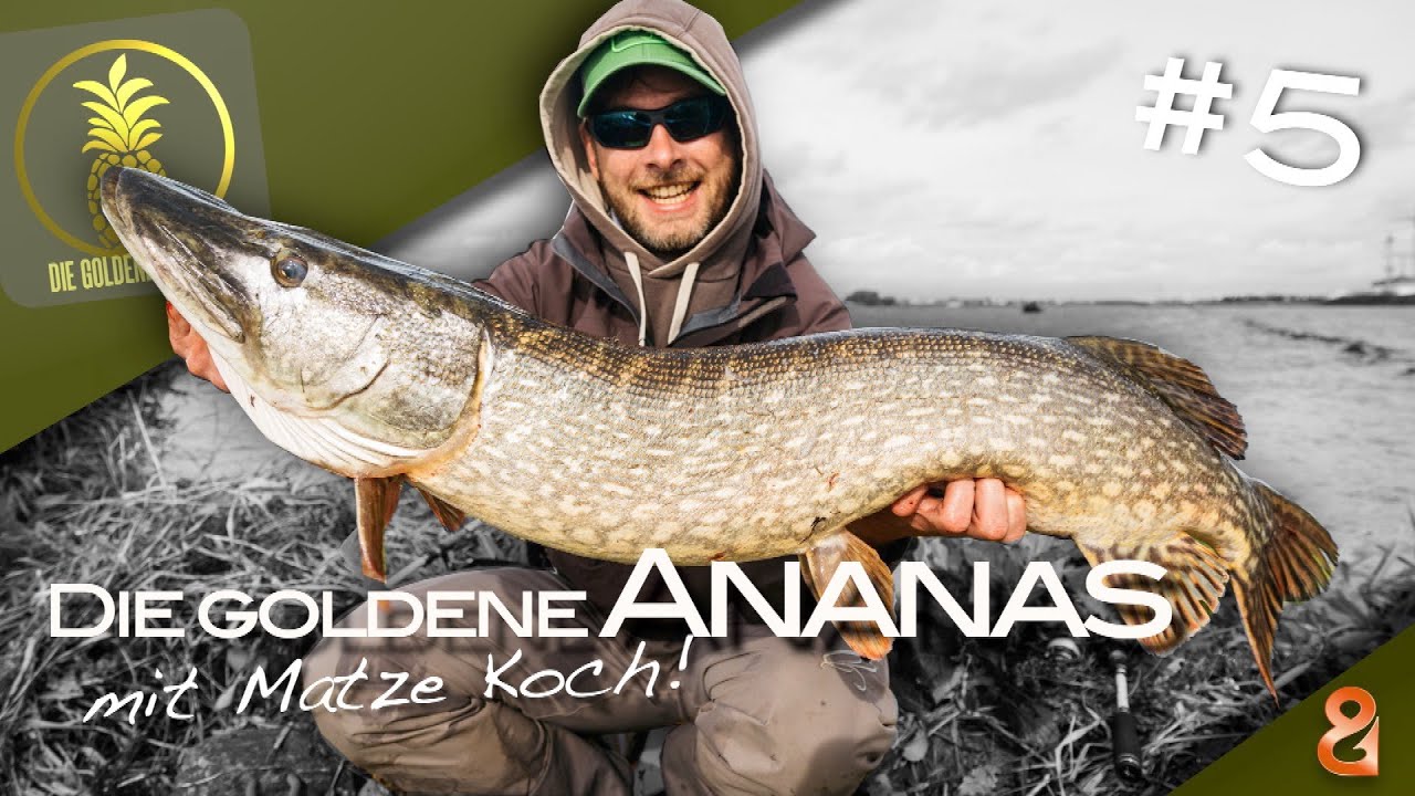 Fluss-Meter und Aufholjagden! Die goldene Ananas 🍍 / Folge 5