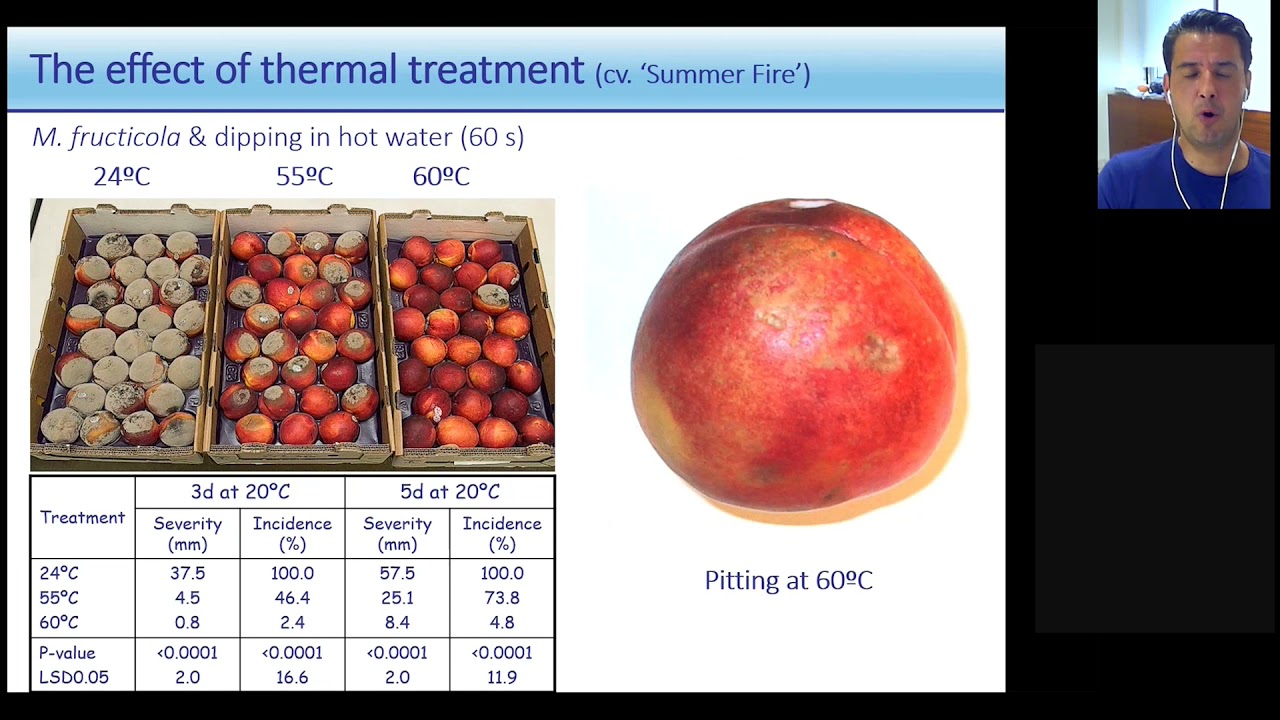 Current status and future perspectives of the peach production sector in Greece
