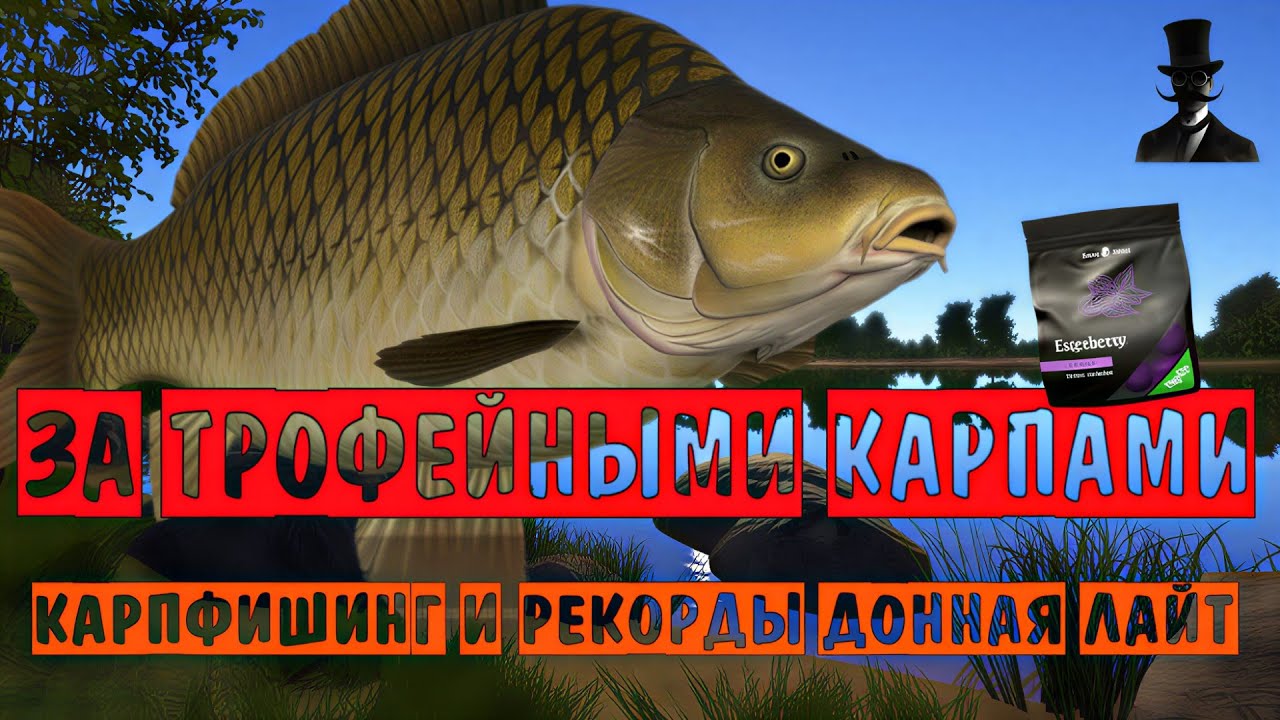 За трофейными карпами. Карпфишинг и рекорды донная лайт. Русская Рыбалка 4.