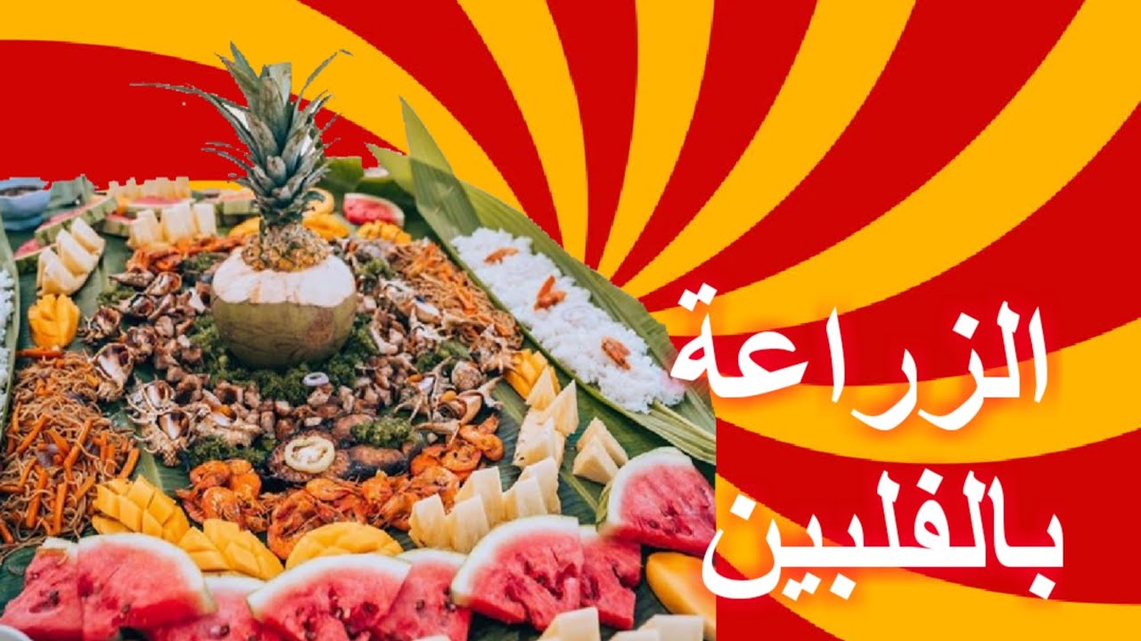 الزراعة بالفلبين #الفلبين_بالعربي #الفلبين #philippines #fypシ