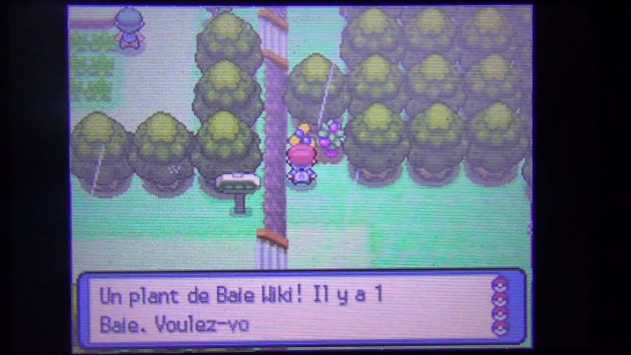 Pokémon platine #13 - Nous voila arrivé à Voilaroc!