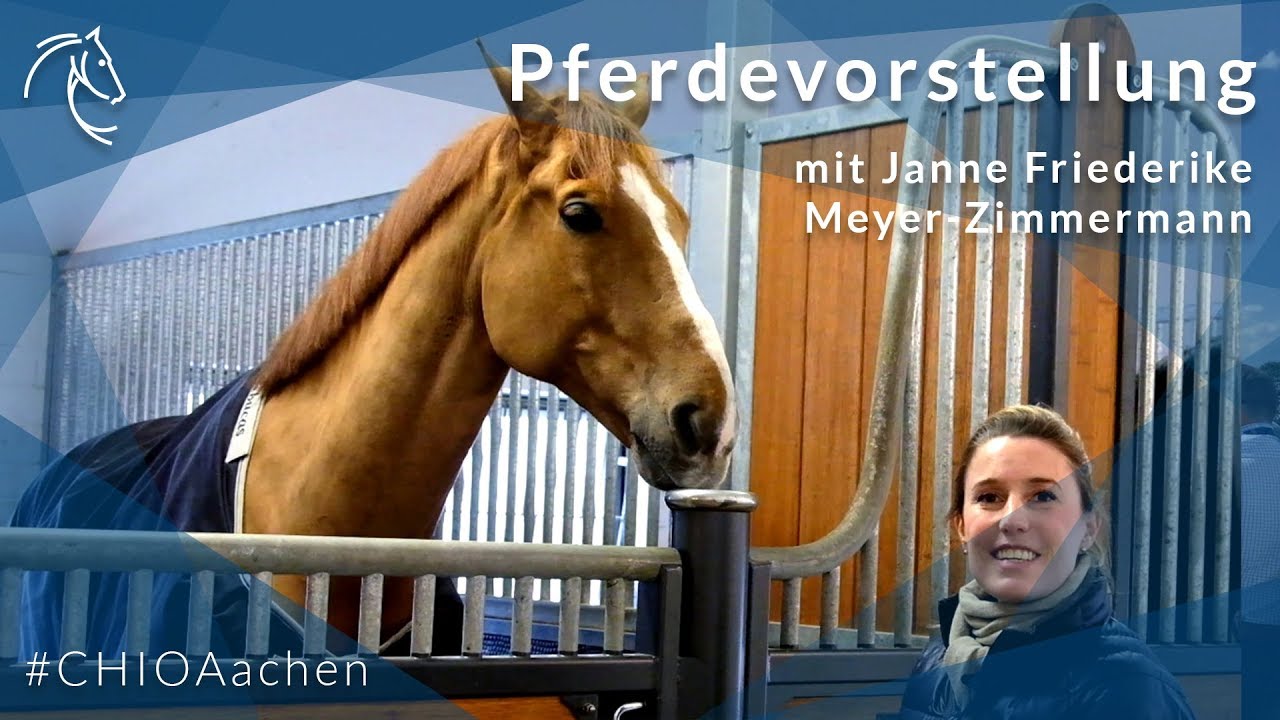 Janne Friederike Meyer-Zimmermann über ihre Pferde