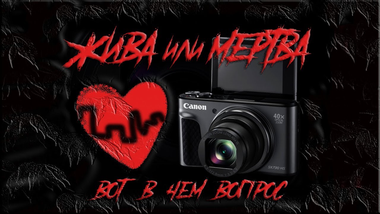Canon PowerShot SX730 HS Спасение Утопающего