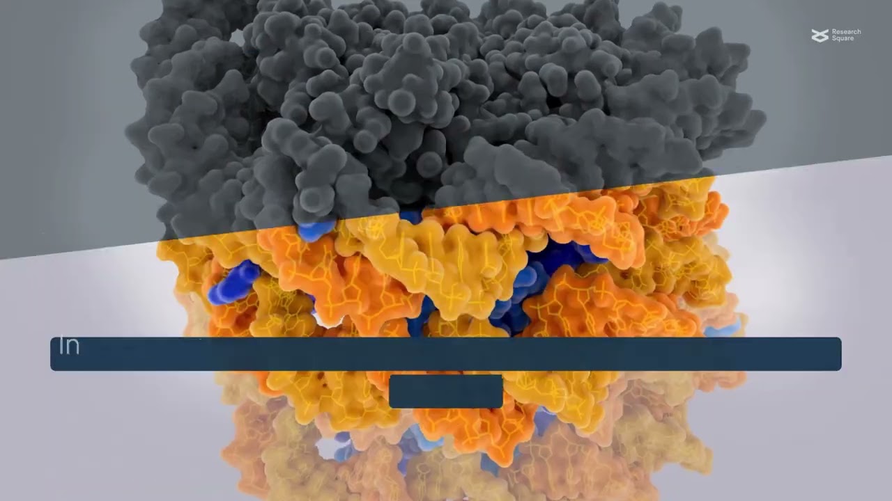 Protein acetylation controls the epithelial-mesenchymal transition in cancer progression