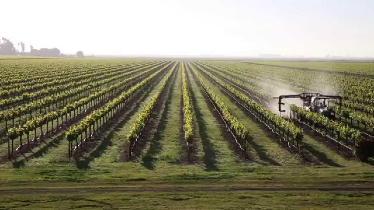 Faces of the California Delta