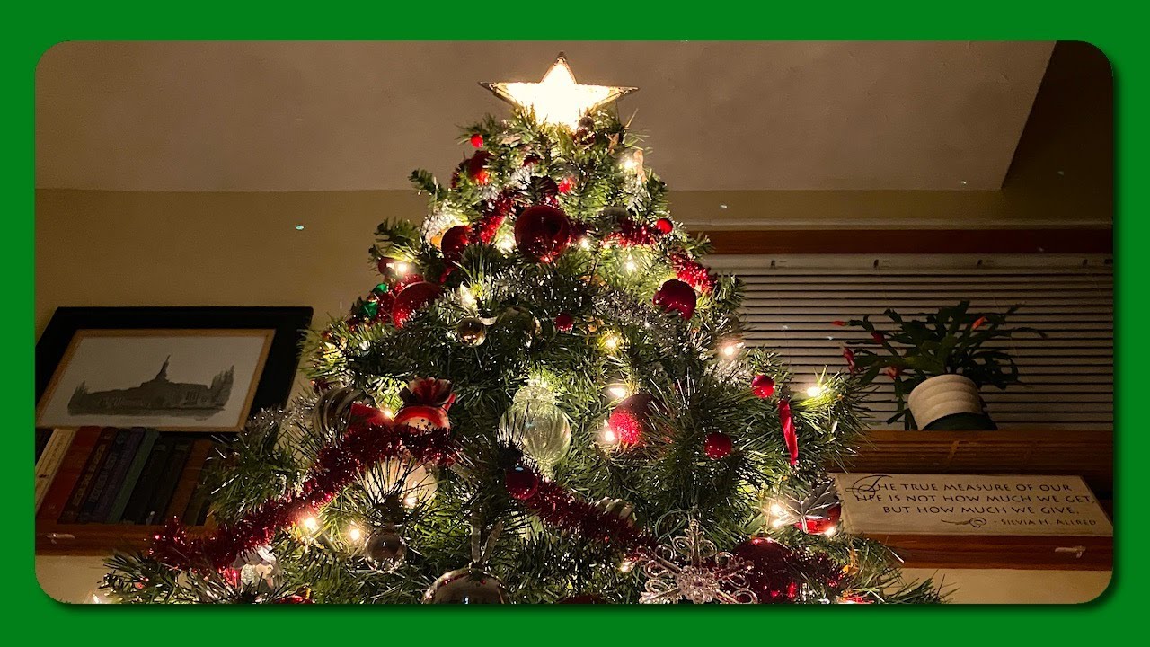 My Modest Christmas Tree