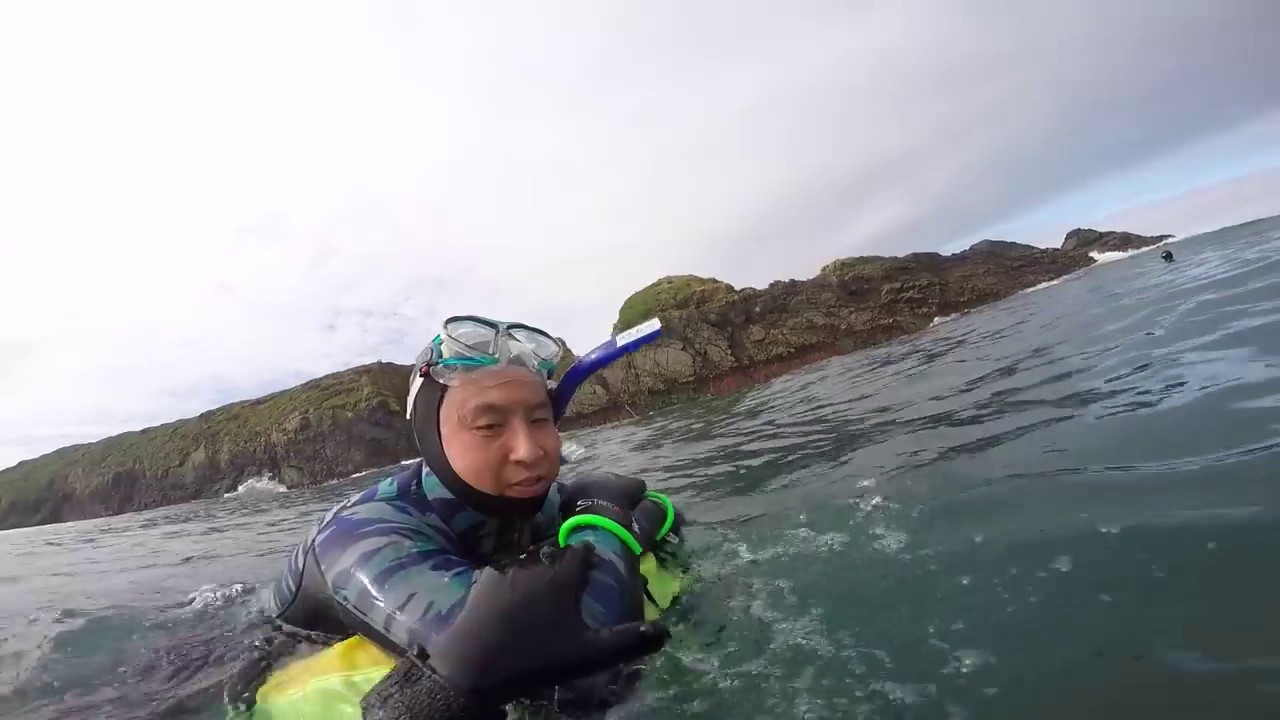 2015 1st Dive   Mendocino Headland