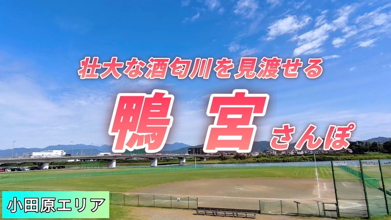 【鴨宮さんぽ】酒匂川を渡って歩こう！小田原エリア