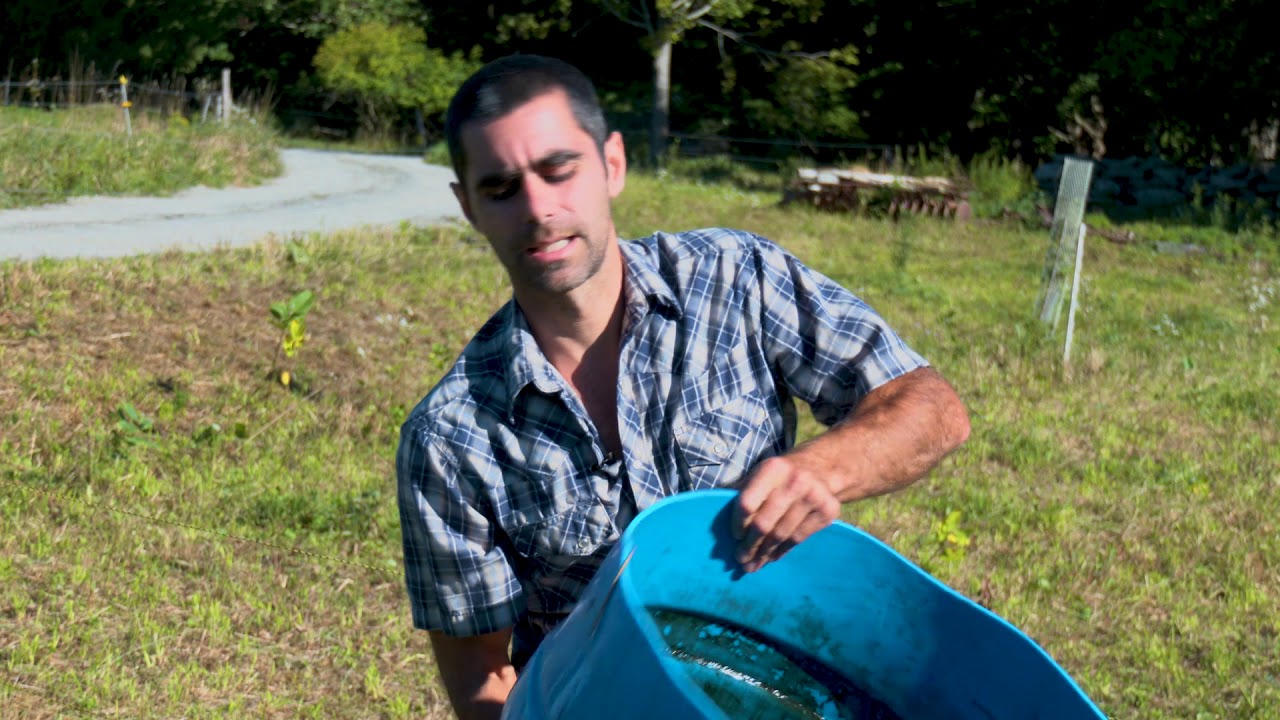 How to Build Easy Watering Systems for Rotational Grazing (Hidden Blossom Farm Fencing Series 9/10)