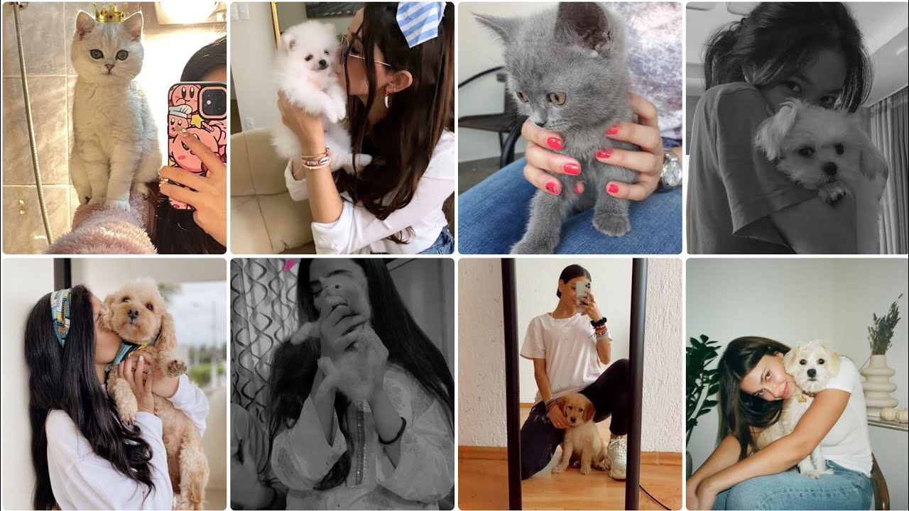 🐕Cute pet dpz girly|🐈girls dp poses with pets| no face dpz| cute cat & dog dp images| girl dp photo