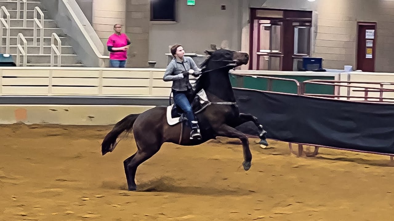 Barrel Racing Horse is getting Out of Control! Can I help?