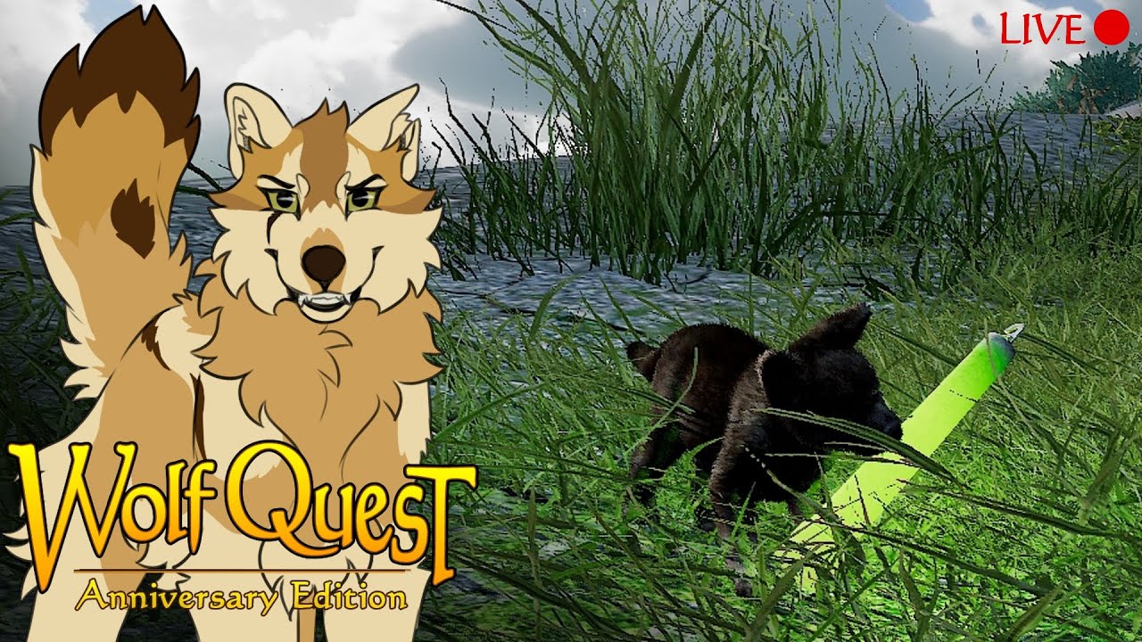 Raising pups in Accurate Ironwolf!