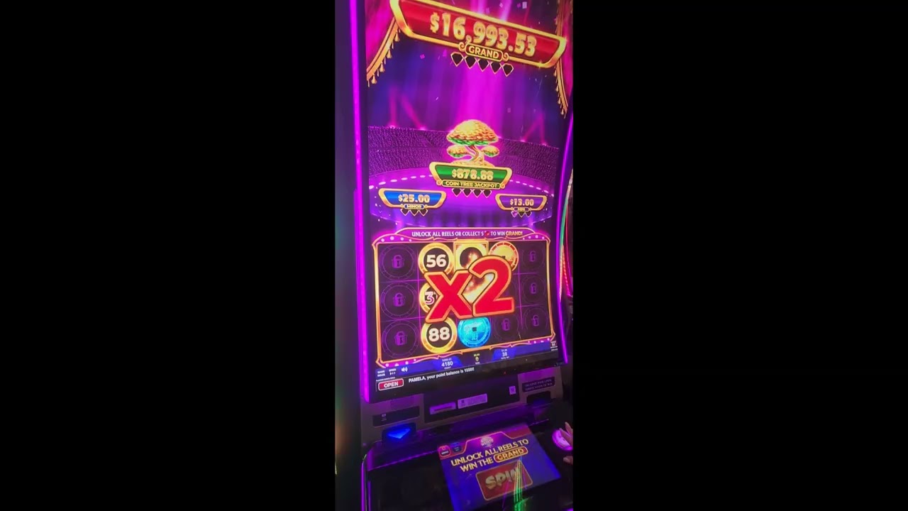 Rings galore at Cache Creek Casino