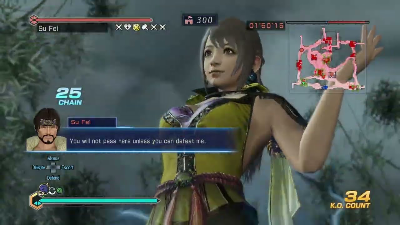 Dynasty Warriors 8 Empires - Officer Showcase Zhao Hong