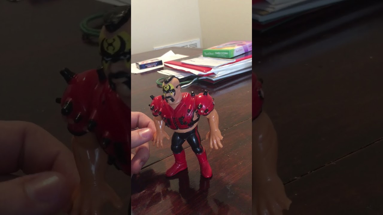SUPER RARE WWF Hasbro Pickups!