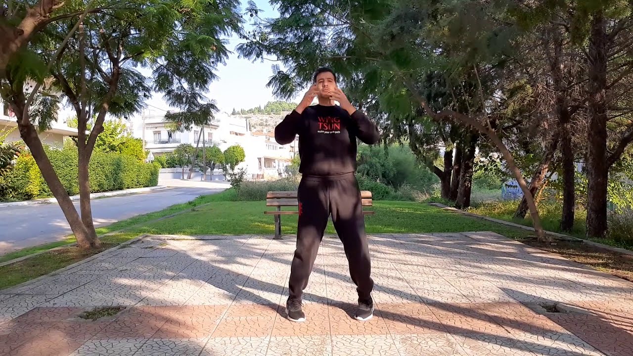 A new way to practice your Wing Tsun forms (Non Classical - read description)