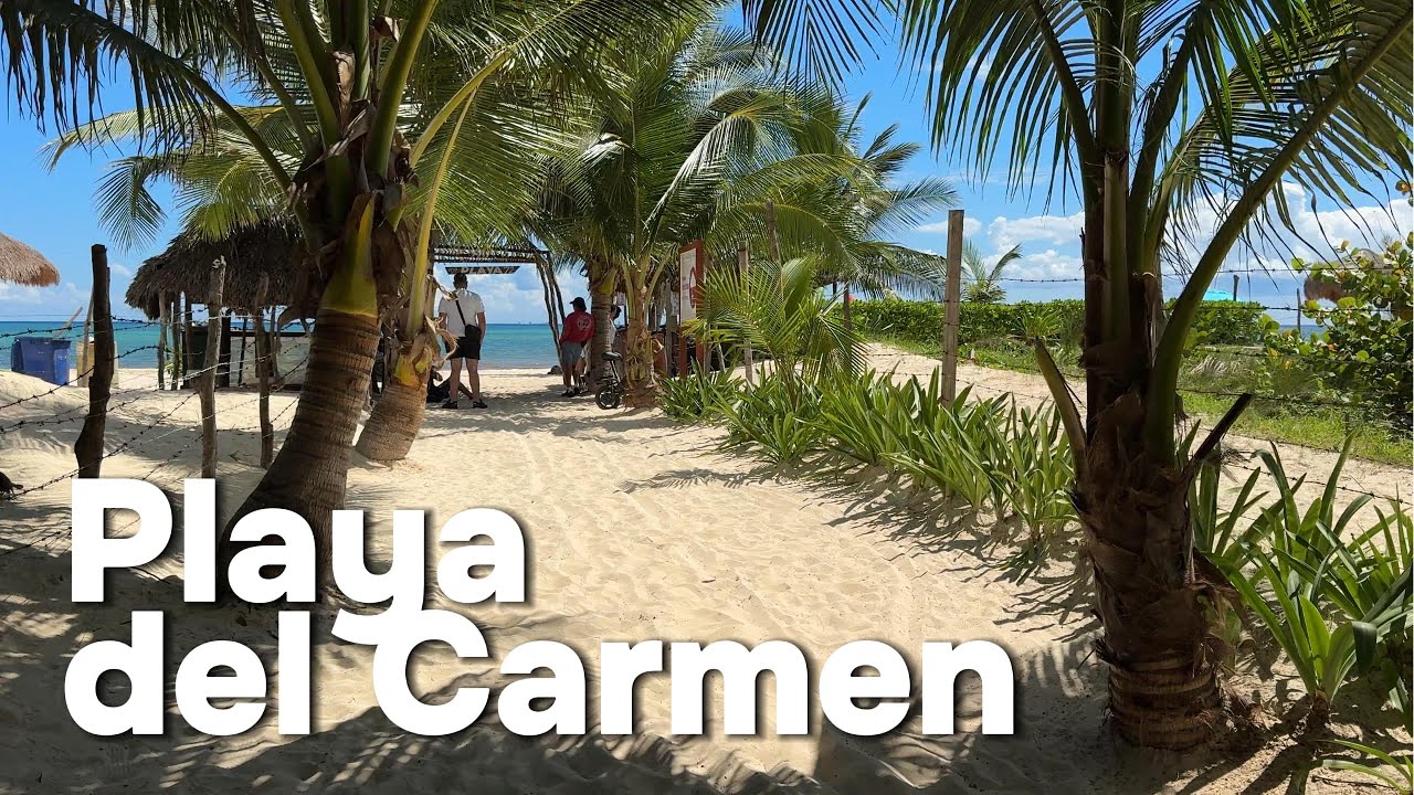 Playa del Carmen-Actualización de las Playas