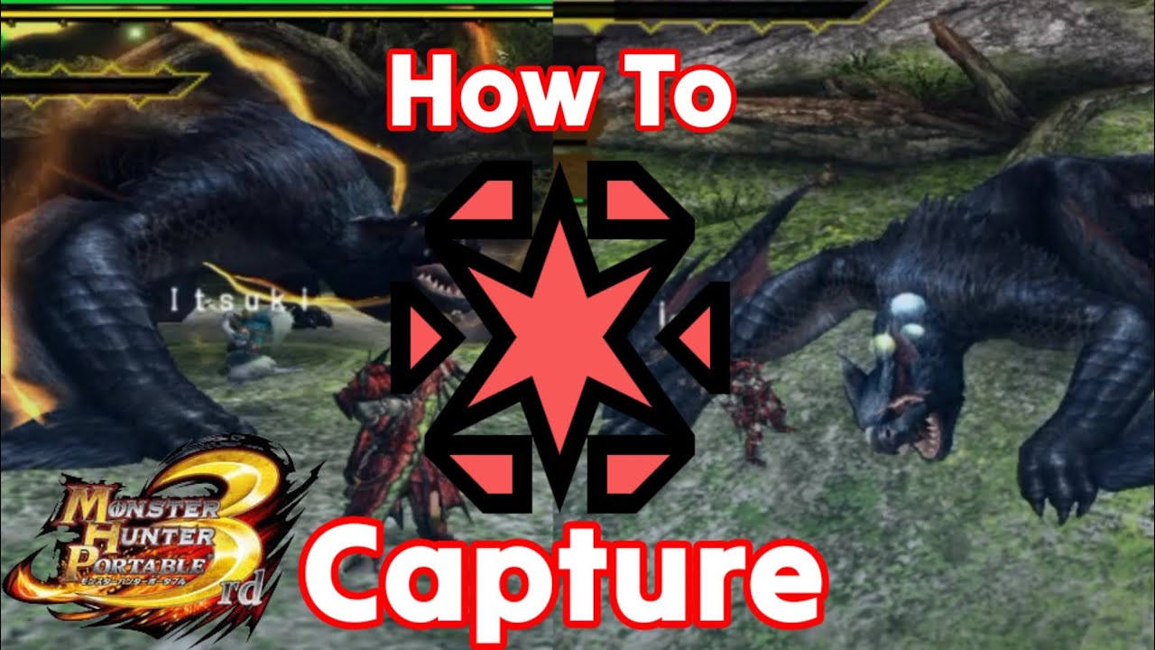 How To Capture | Mhp3rd