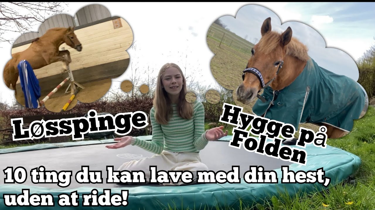 10 ting du kan lave med din hest, uden at ride!
