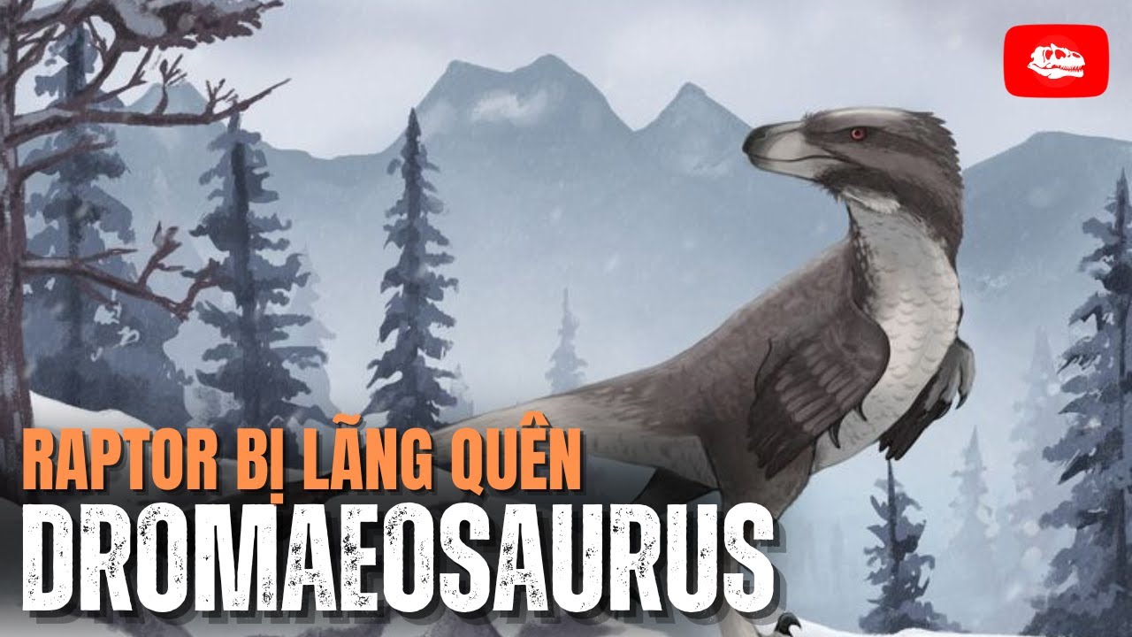 Dromaeosaurus: Khủng long raptor bị l&atilde;ng qu&ecirc;n | Hồ sơ khủng long