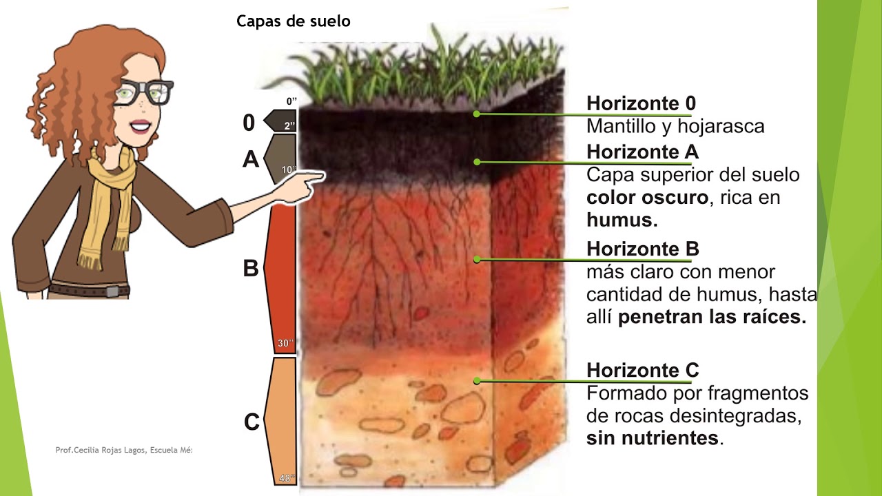 6° Básico | Ciencias naturales | Erosión