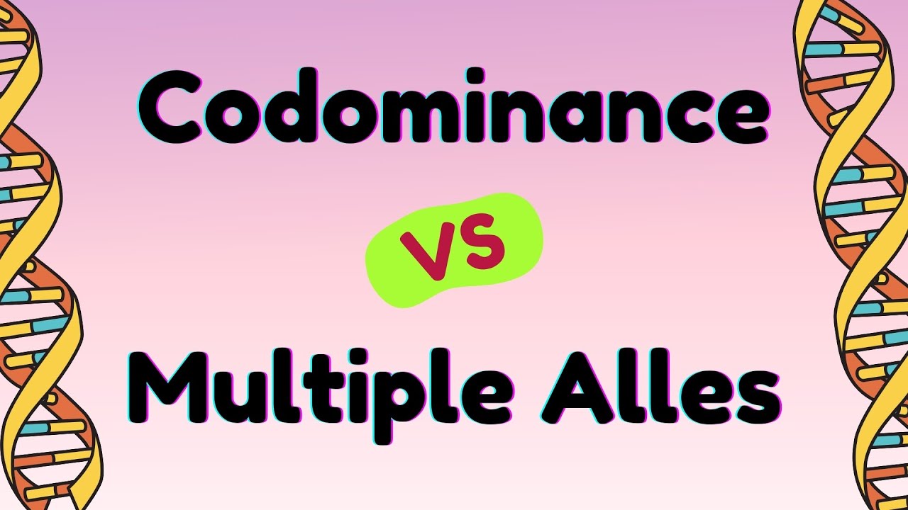 Codominance VS Multiple Alleles